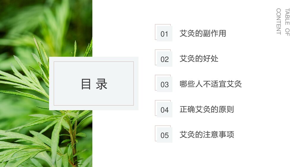中医养生保健康管理艾灸的副作用及好处PPT课件下载2