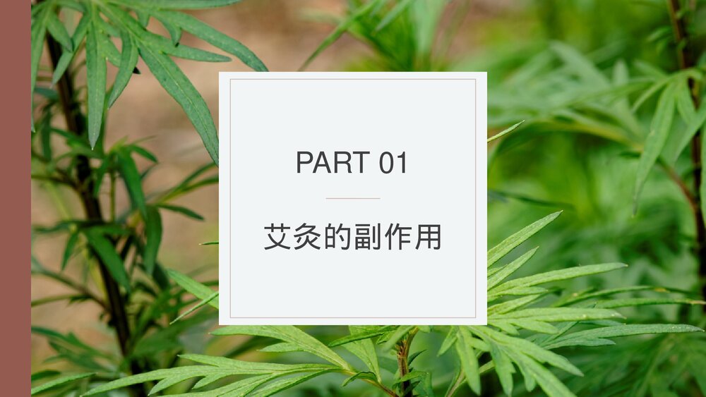 中医养生保健康管理艾灸的副作用及好处PPT课件下载3