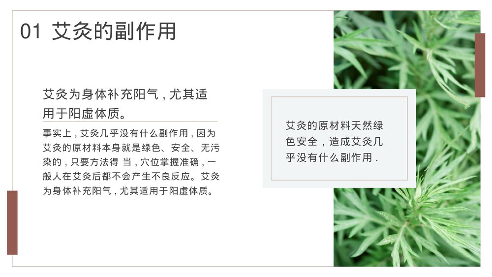 中医养生保健康管理艾灸的副作用及好处PPT课件下载4