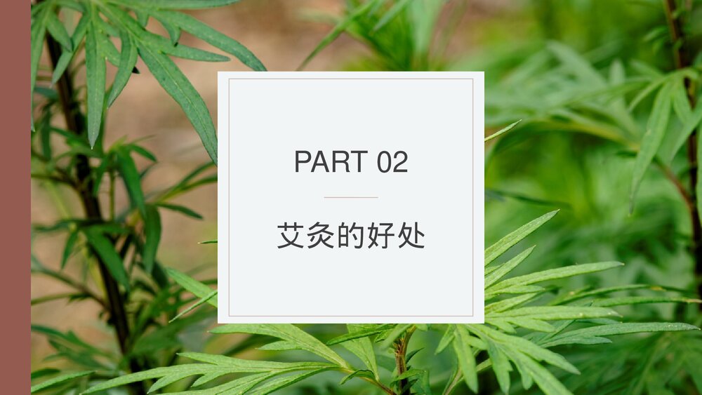 中医养生保健康管理艾灸的副作用及好处PPT课件下载7