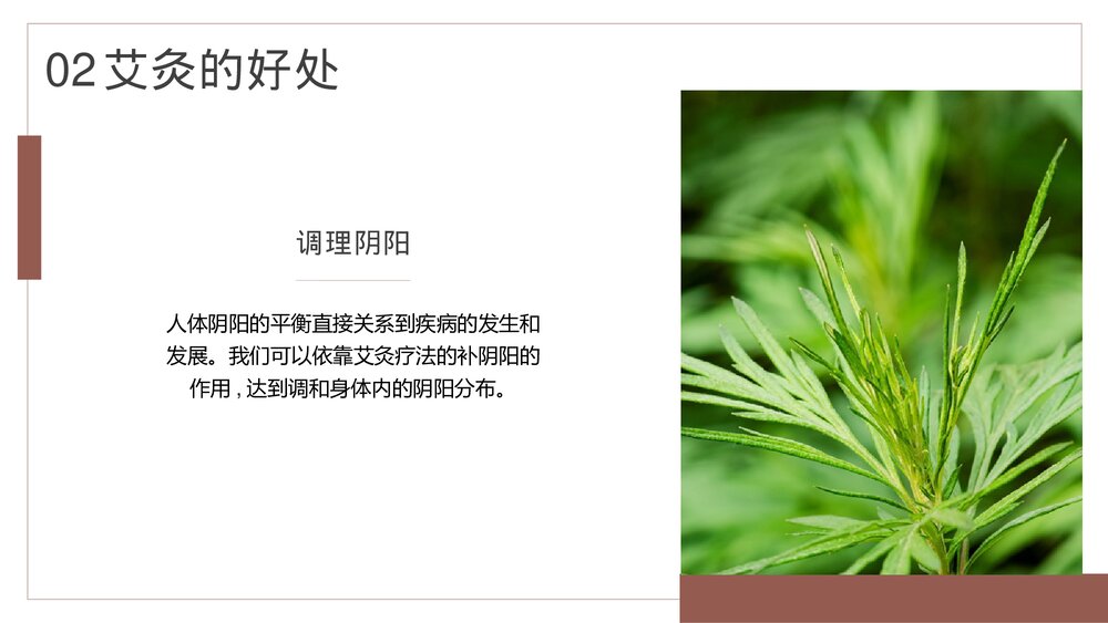 中医养生保健康管理艾灸的副作用及好处PPT课件下载8