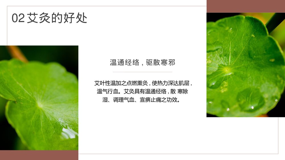 中医养生保健康管理艾灸的副作用及好处PPT课件下载9