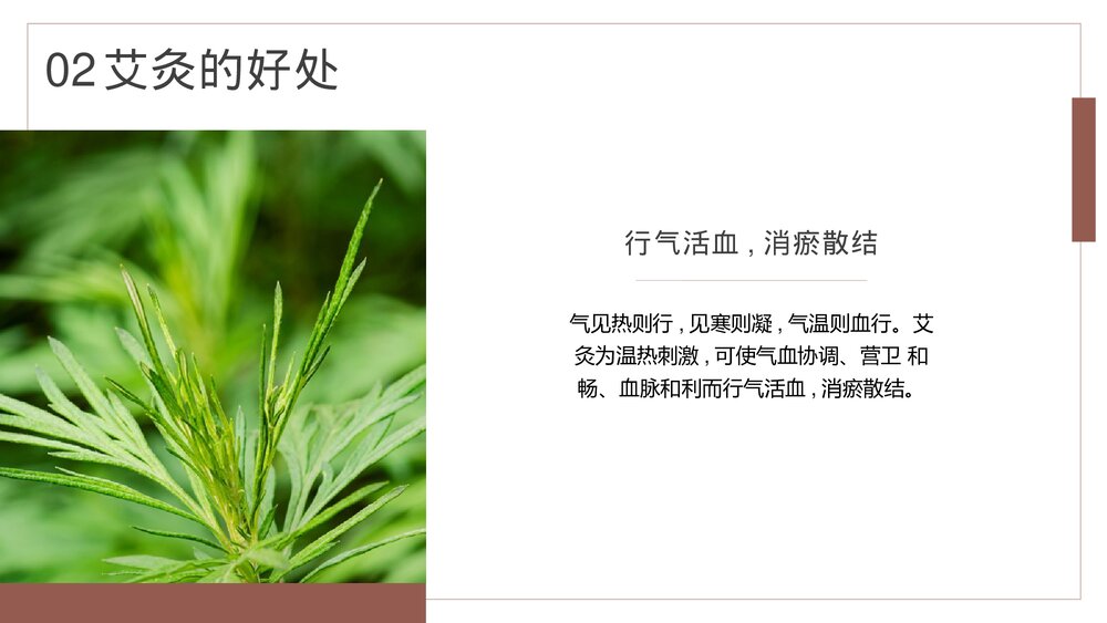 中医养生保健康管理艾灸的副作用及好处PPT课件下载10