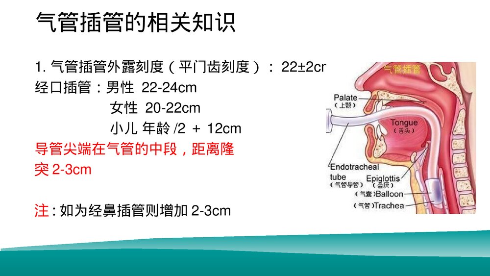 经口气管插管患者的口腔护理PPT课件下载（共16页·可编辑修改）4