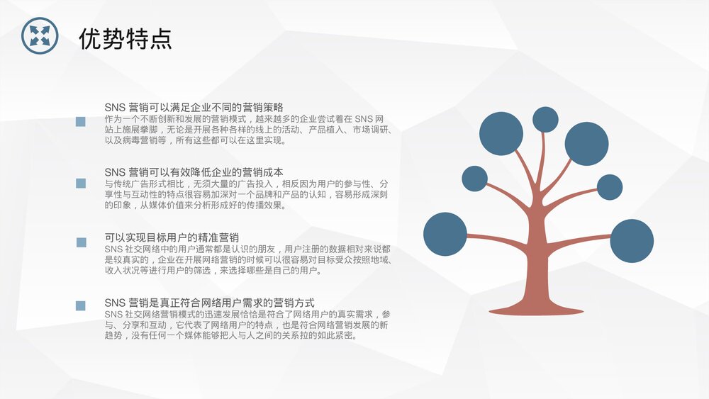 企业SNS跨境电子商务营销能力培训PPT课件下载8