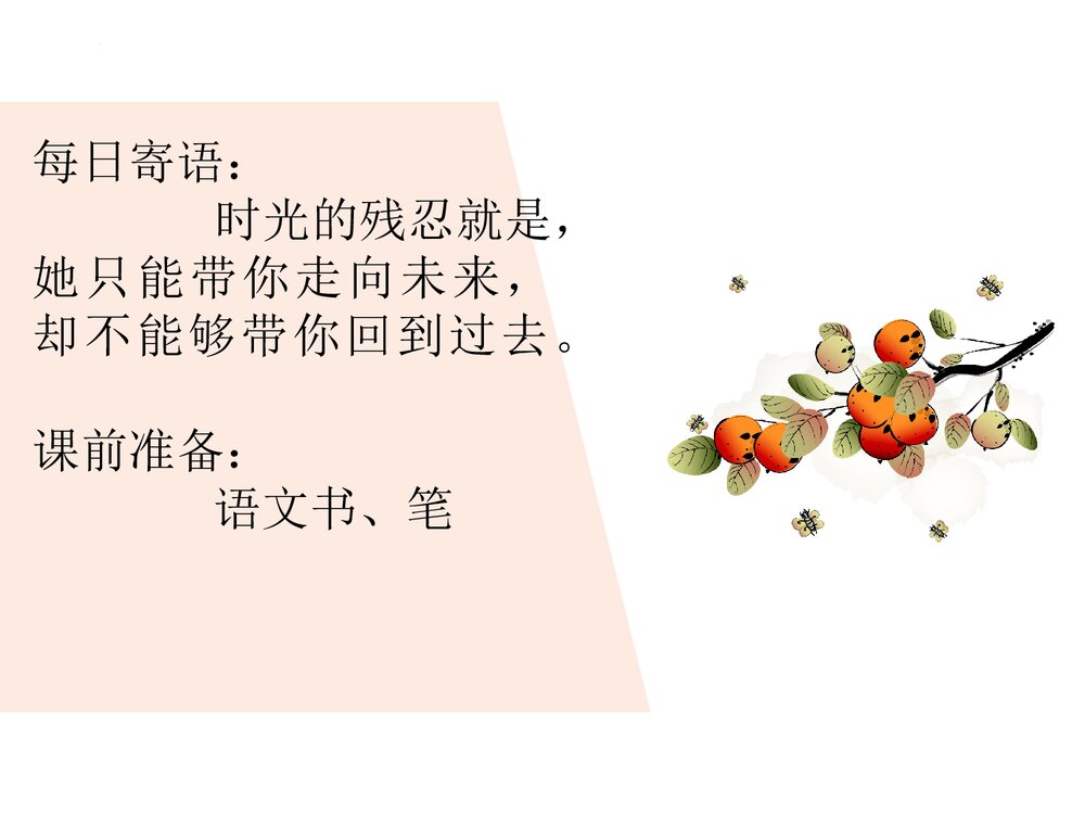 部编版四年级语文上册第8单元复习PPT课件1