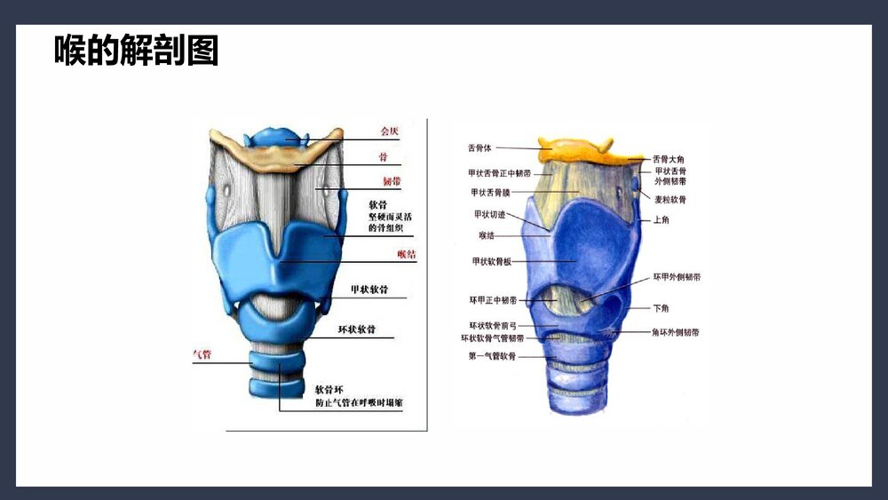 气管切开术后患者护理查房PPT课件下载(共45页·可编辑修改)6