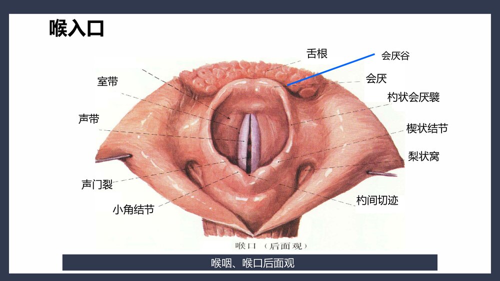 气管切开术后患者护理查房PPT课件下载(共45页·可编辑修改)7