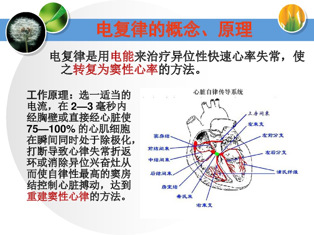 电复律的临床使用PPT课件下载(共31页·可编辑修改)3