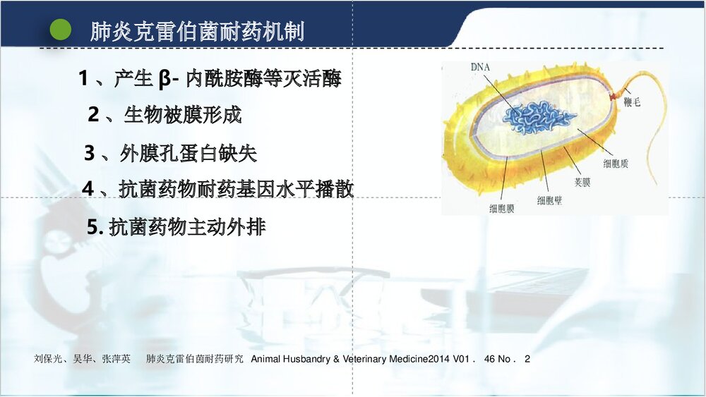 肺炎克雷伯菌的耐药现状PPT课件(共15页·可编辑修改)10