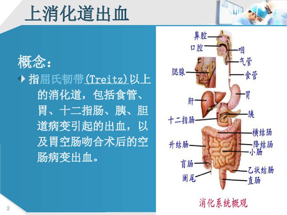 上消化道出血的护理PPT课件下载(共73页·可编辑修改)2