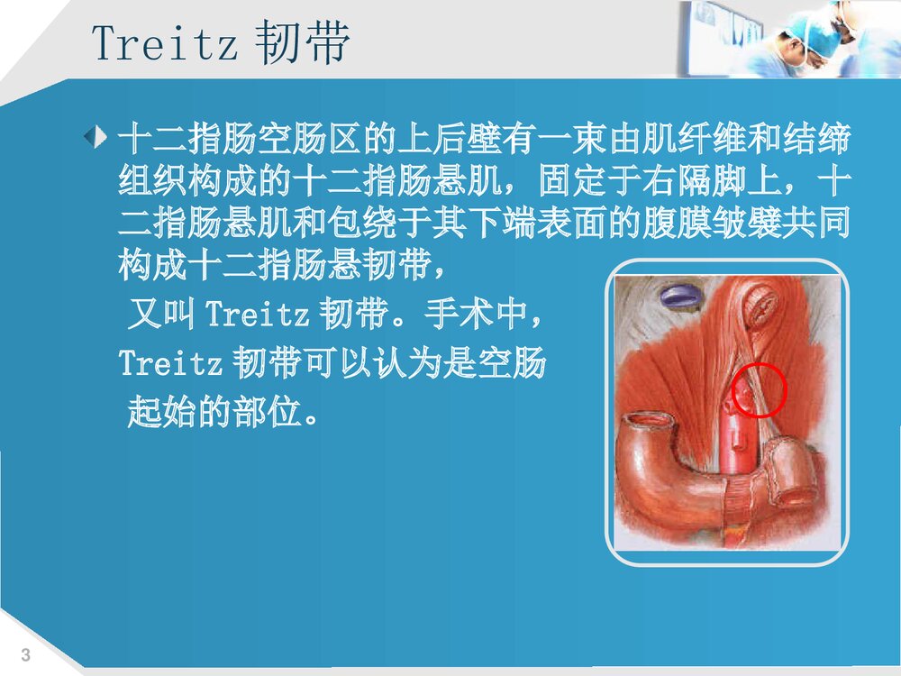 上消化道出血的护理PPT课件下载(共73页·可编辑修改)3