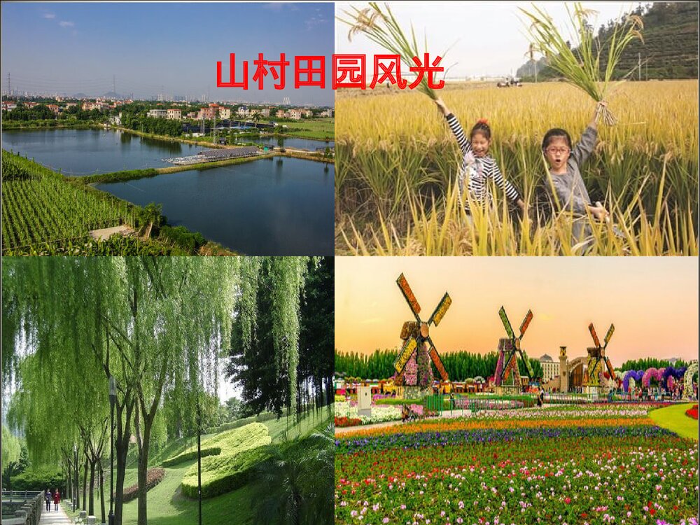 部编版二年级语文上册第二单元复习(PPT课件)3