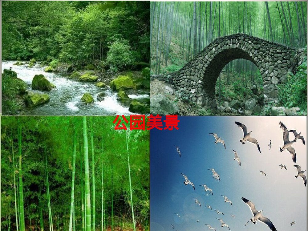 部编版二年级语文上册第二单元复习(PPT课件)4