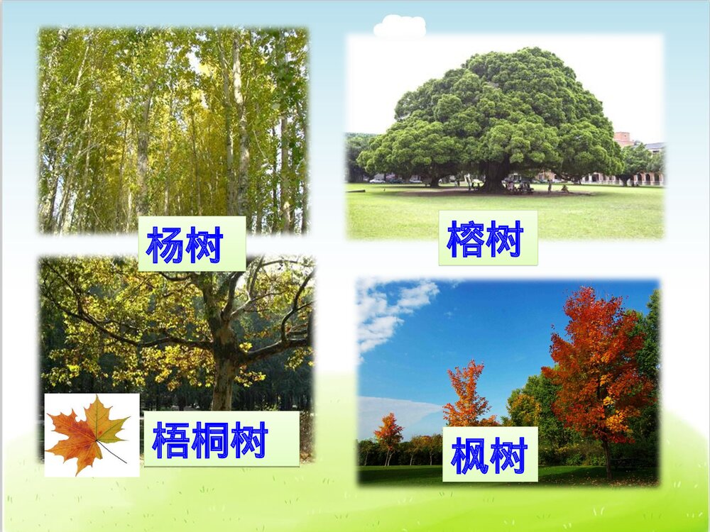 部编版二年级语文上册第二单元复习(PPT课件)5