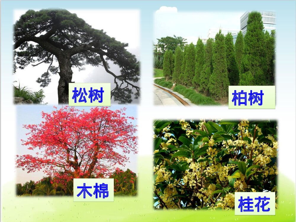 部编版二年级语文上册第二单元复习(PPT课件)6