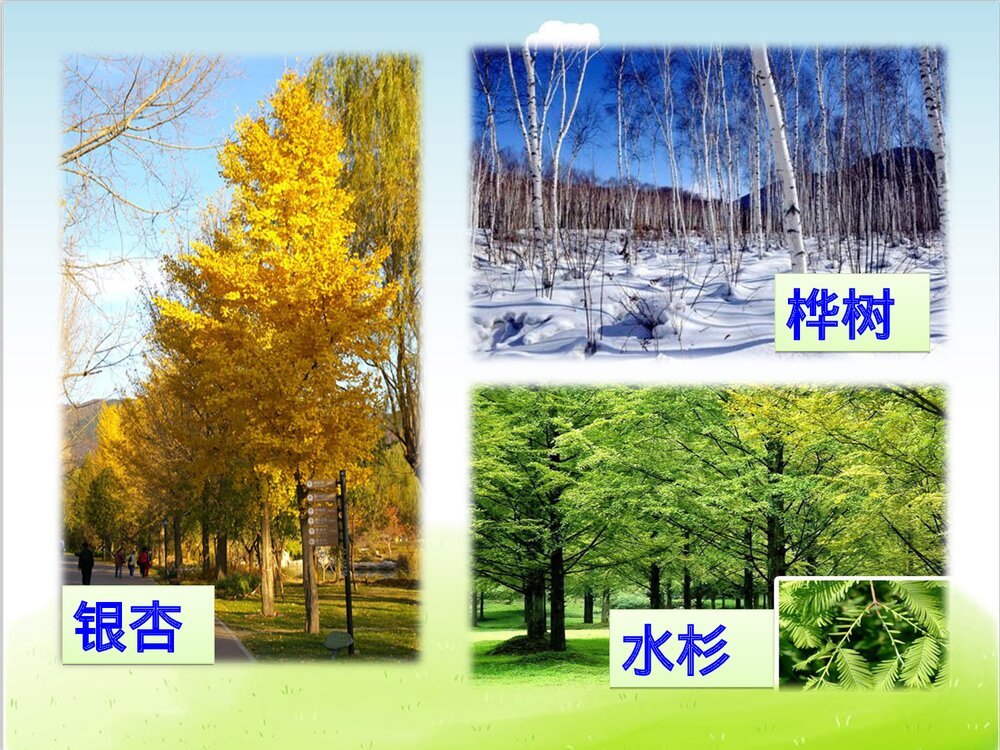 部编版二年级语文上册第二单元复习(PPT课件)7