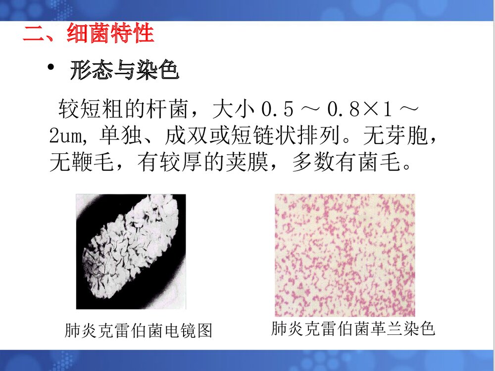 克雷伯菌属PPT课件下载(共33页·可编辑修改)4