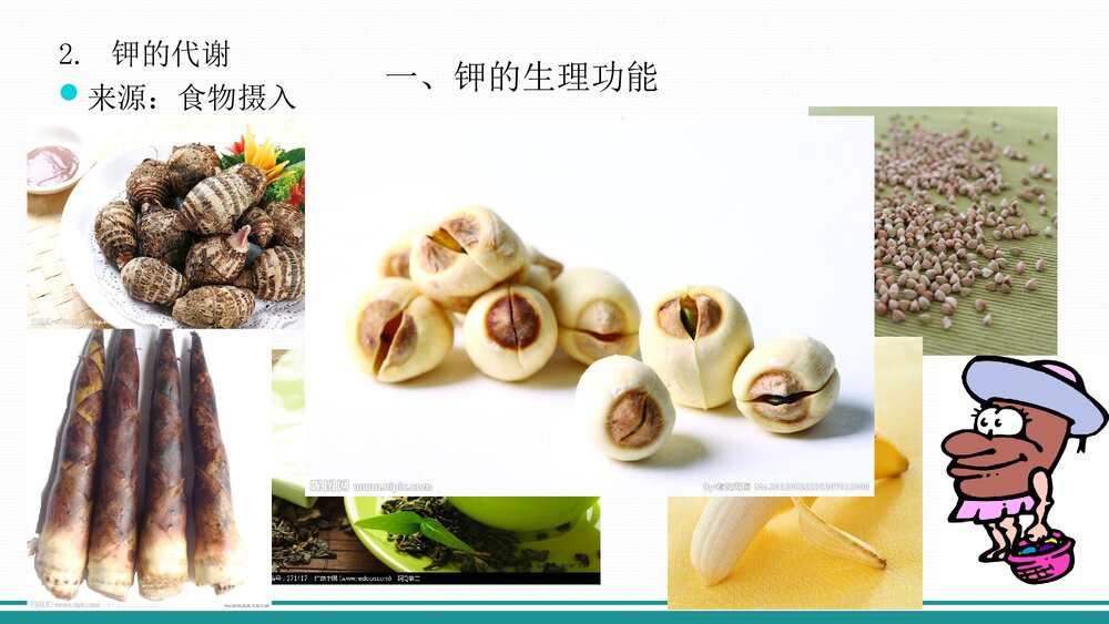 高钾血症PPT课件下载(共26页·内容可编辑修改)4