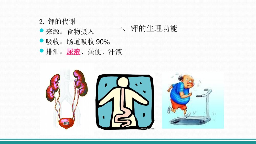 高钾血症PPT课件下载(共26页·内容可编辑修改)7