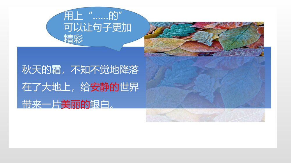 部编版一年级语文下册《写话·四季的风景》PPT课件下载9