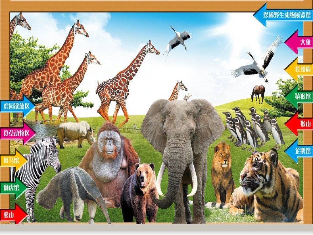 部编版一年级语文下册·看图说话《有趣的大象》PPT课件3