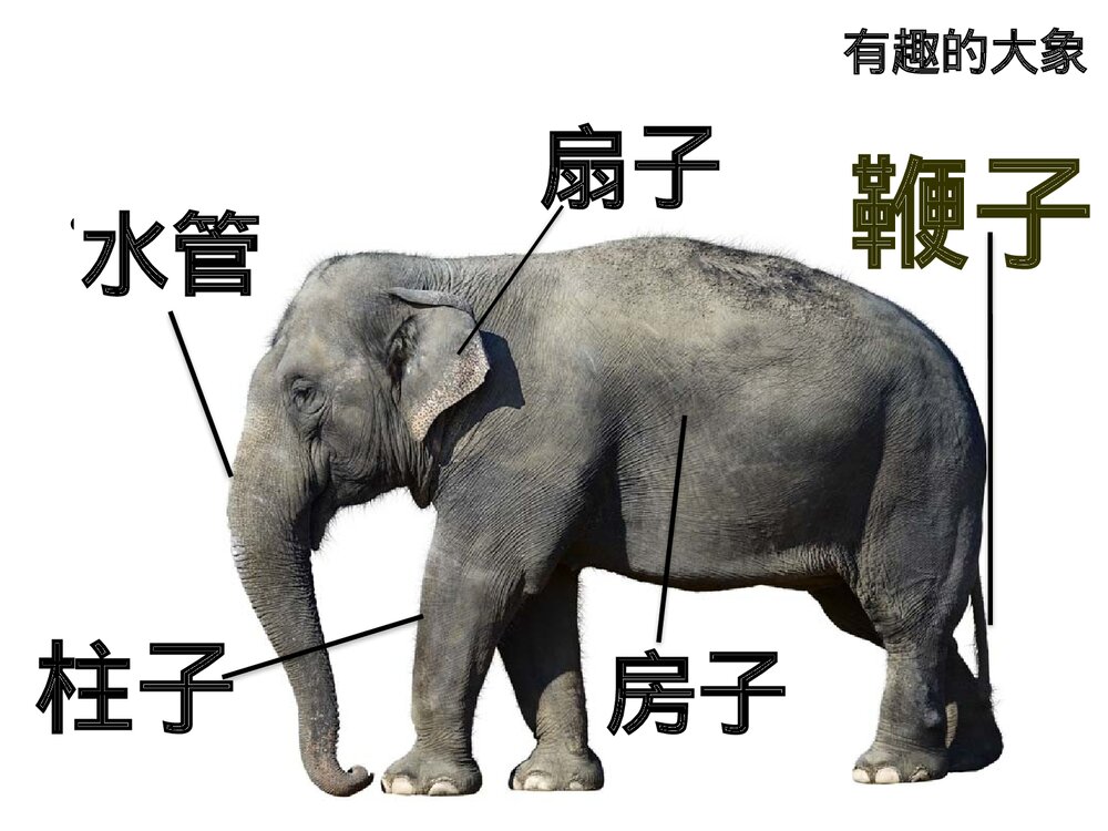 部编版一年级语文下册·看图说话《有趣的大象》PPT课件6