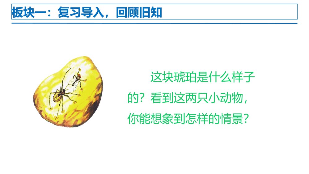 部编版四年级语文下册第二单元 第3课时 重点讲练一PPT课件下载4