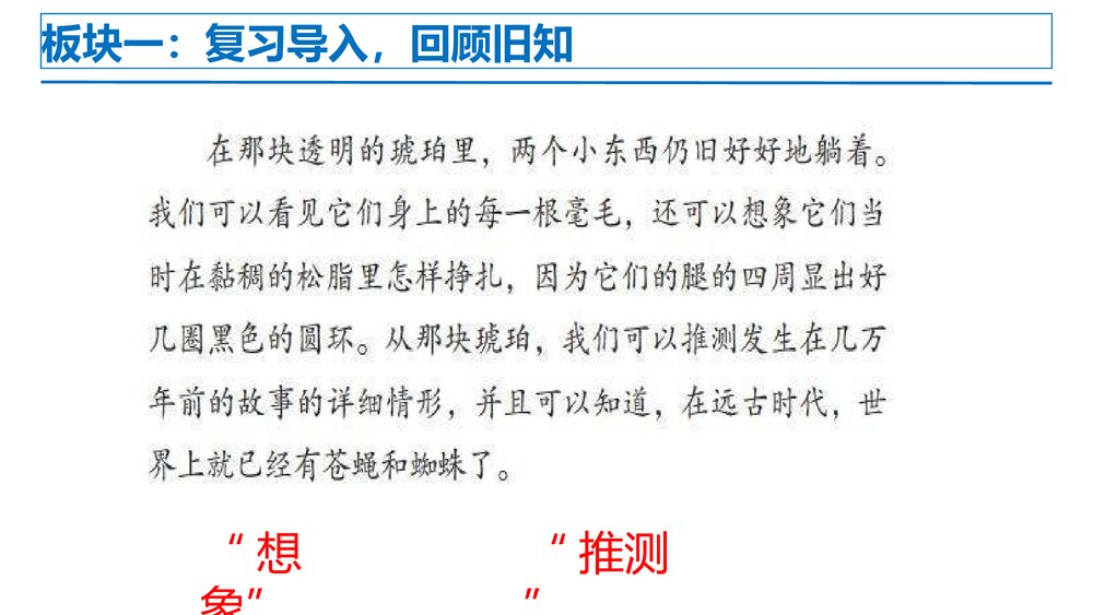 部编版四年级语文下册第二单元 第3课时 重点讲练一PPT课件下载5