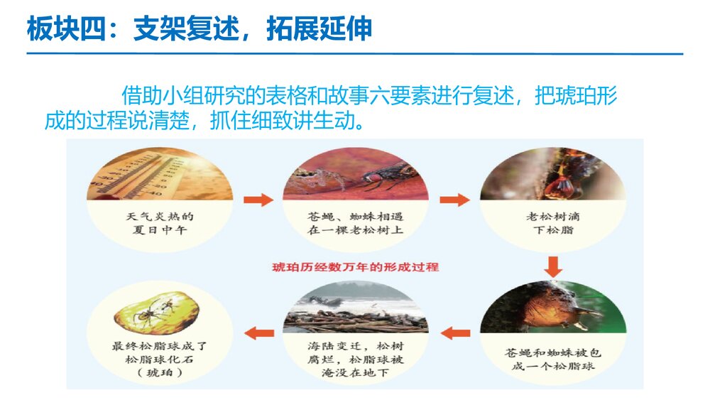 部编版四年级语文下册第二单元 第3课时 重点讲练一PPT课件下载10