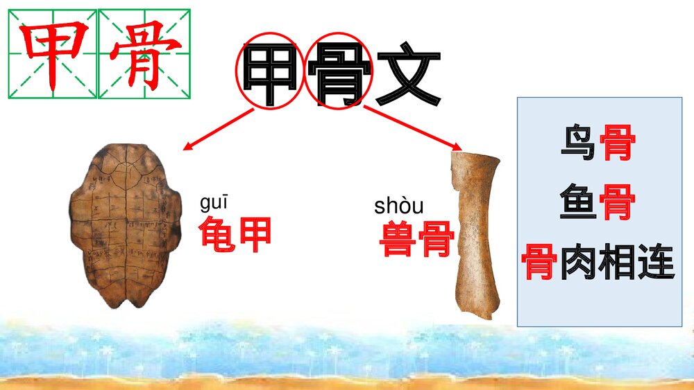 二年级语文下册《3 “贝”的故事》PPT课件下载1