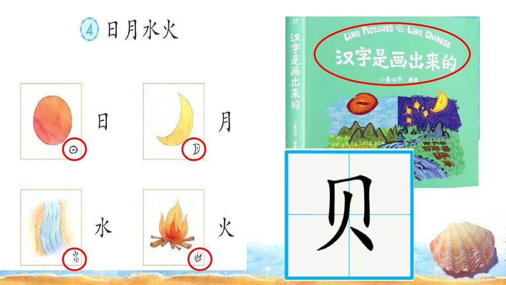 二年级语文下册《3 “贝”的故事》PPT课件下载2