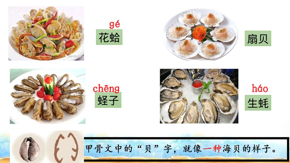 二年级语文下册《3 “贝”的故事》PPT课件下载10