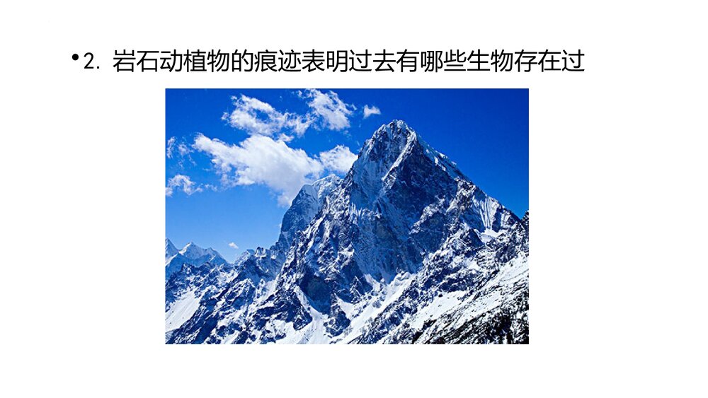 教科版（2017秋）四年级科学下册 31岩石与土壤的故事PPT课件下载6