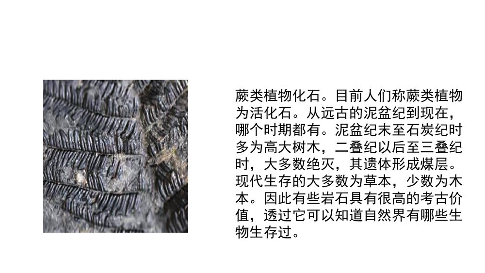 教科版（2017秋）四年级科学下册 31岩石与土壤的故事PPT课件下载7