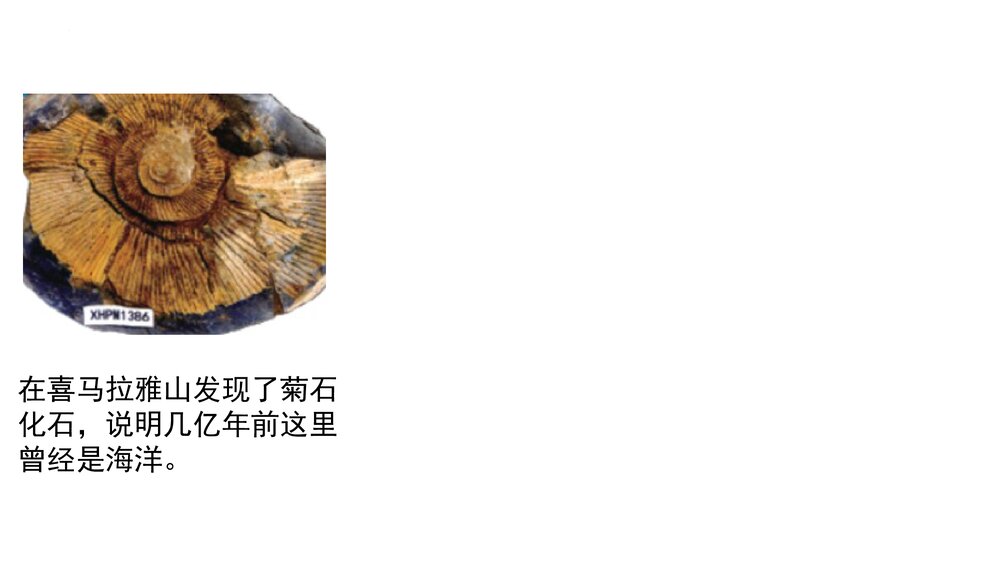 教科版（2017秋）四年级科学下册 31岩石与土壤的故事PPT课件下载8