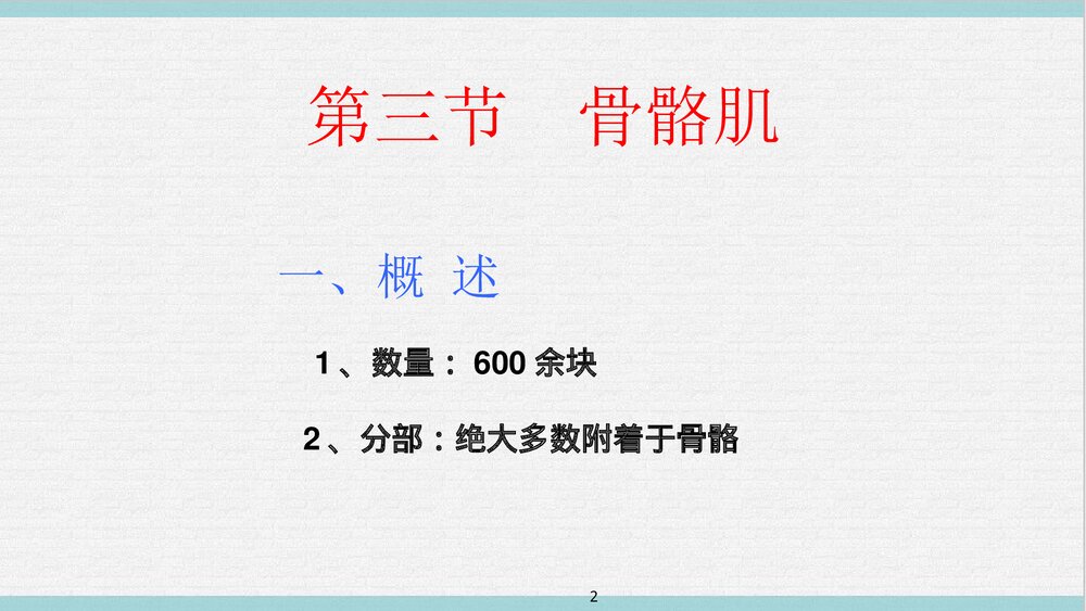 运动解剖学PPT课件下载(共65页·可编辑修改)2