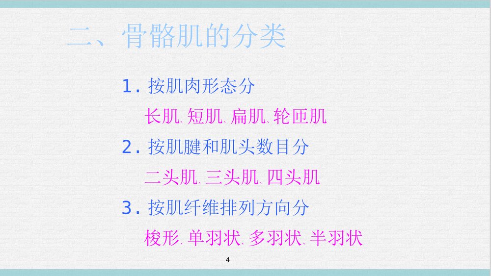 运动解剖学PPT课件下载(共65页·可编辑修改)4