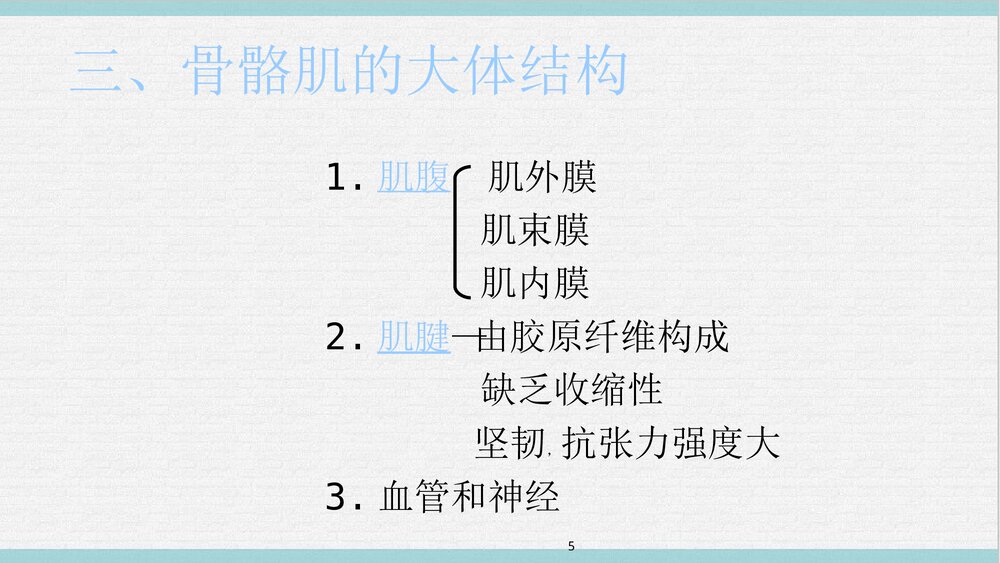 运动解剖学PPT课件下载(共65页·可编辑修改)5