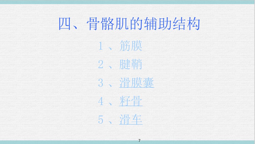 运动解剖学PPT课件下载(共65页·可编辑修改)7