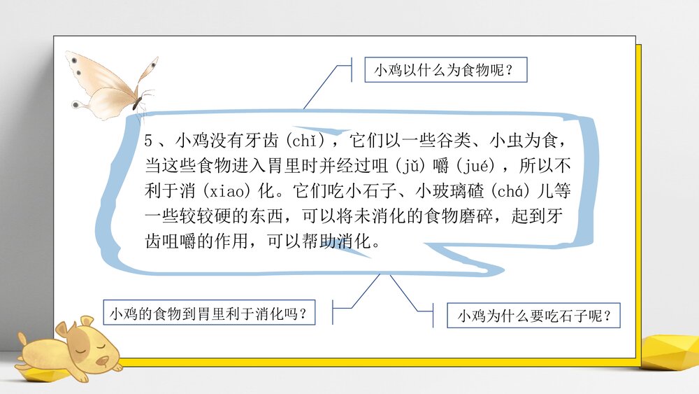 部编版三年级语文下册课外阅读：探秘科学《吃石子的小鸡》PPT课件下载7