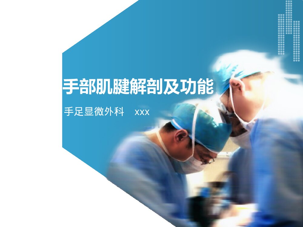 手部肌腱解剖及功能PPT课件下载(共37页·可编辑修改)1