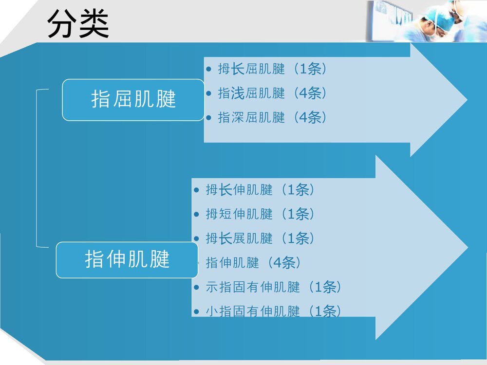 手部肌腱解剖及功能PPT课件下载(共37页·可编辑修改)2