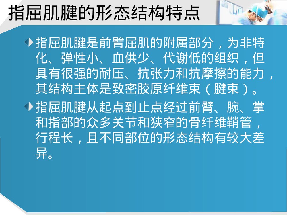 手部肌腱解剖及功能PPT课件下载(共37页·可编辑修改)6