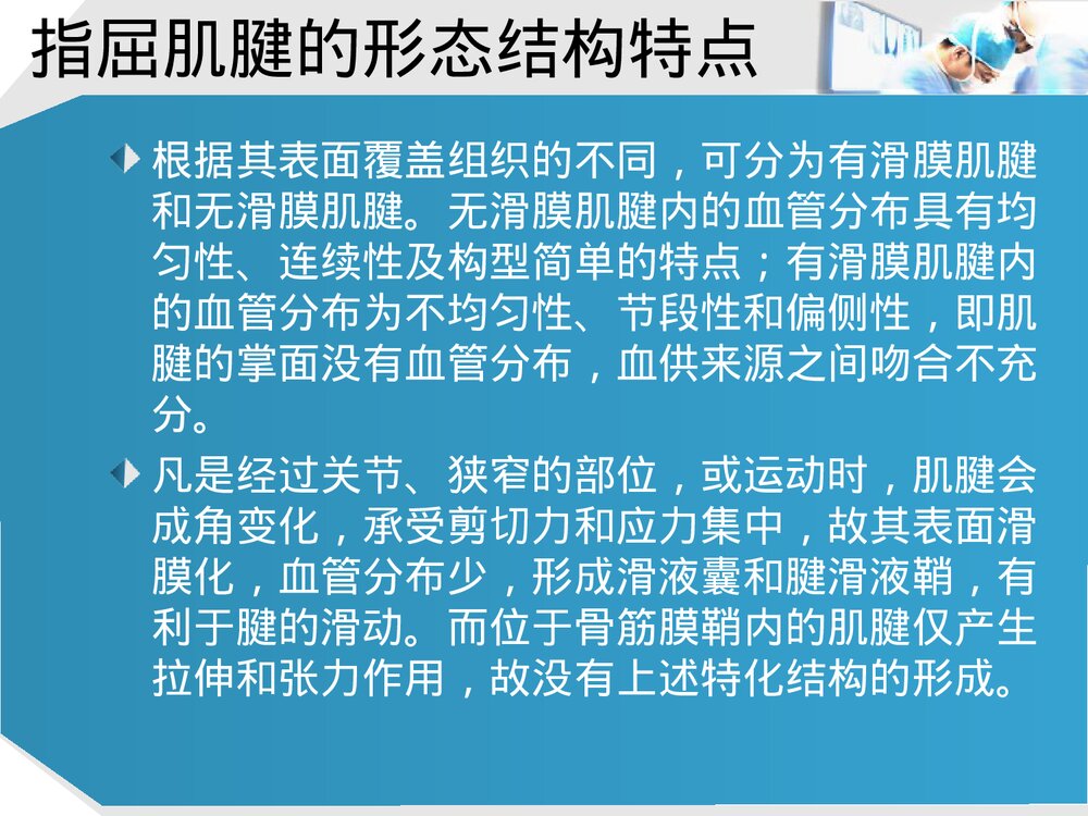 手部肌腱解剖及功能PPT课件下载(共37页·可编辑修改)7