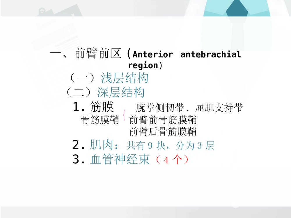 前臂与手局部解剖PPT课件下载(共30页·可编辑修改)2