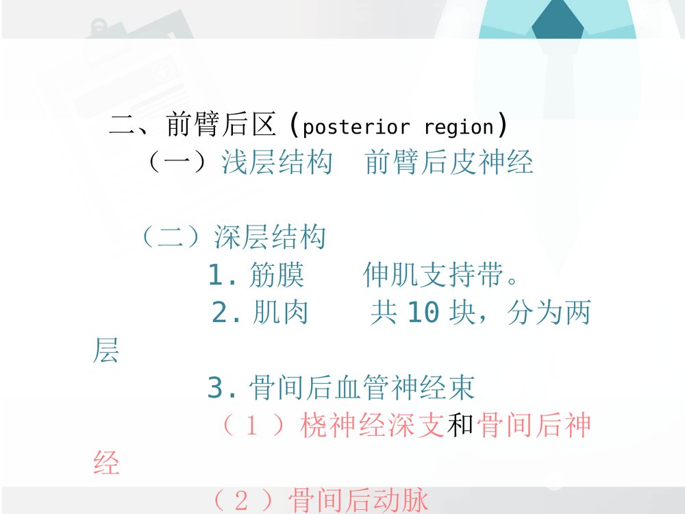 前臂与手局部解剖PPT课件下载(共30页·可编辑修改)5