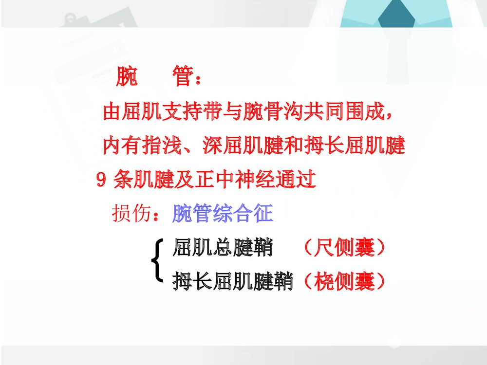 前臂与手局部解剖PPT课件下载(共30页·可编辑修改)9