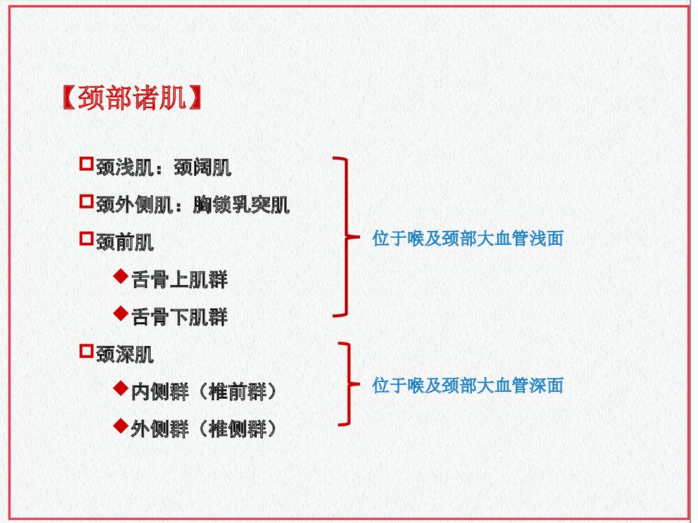 颈部肌肉介绍PPT课件下载(共35页·可编辑修改)6