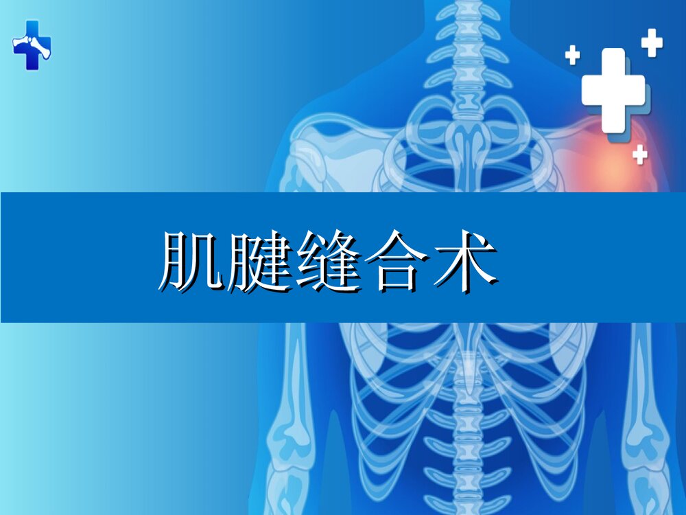 肌腱缝合术PPT课件下载(共61页·可编辑修改)1